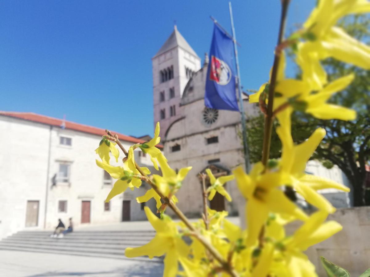 Apartman Pegla Zadar Eksteriør bilde